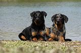 BEAUCERON 640